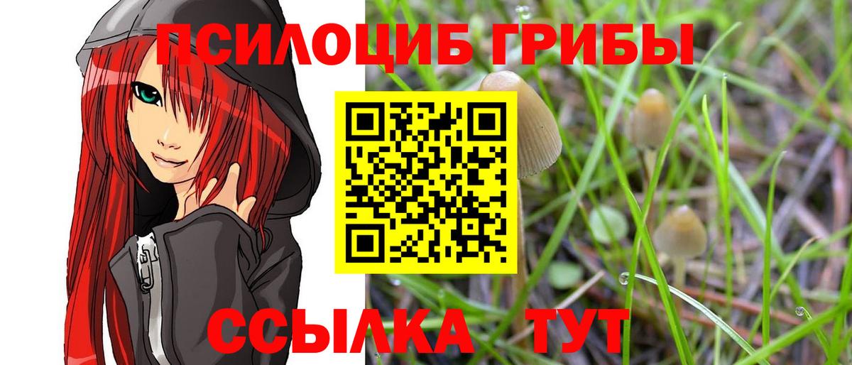 Галлюциногенные грибы ЛСД Кулебаки